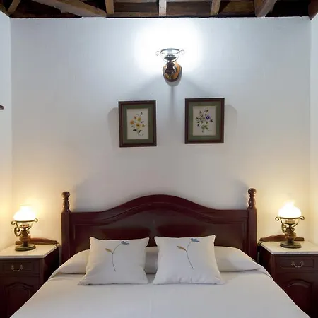 Tio Pedro Holiday home Villa de Mazo